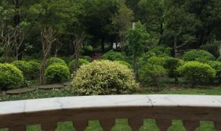 上海周边自驾一日游