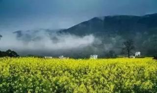 人生路上坎坷多 人生路上坎坷多